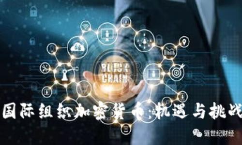 国际组织加密货币：机遇与挑战