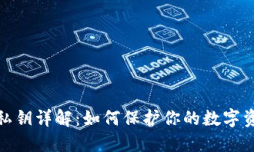 TP钱包私钥详解：如何保护你的数字资产安全