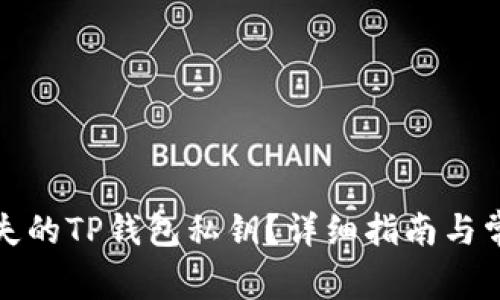 如何找回丢失的TP钱包私钥？详细指南与常见问题解答