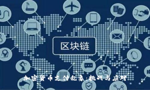 加密货币支付乱象：挑战与应对