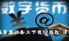如何在苹果设备上下载T