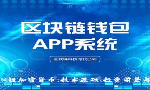 深入探讨M链加密货币：技术基础、投资前景与未来挑战