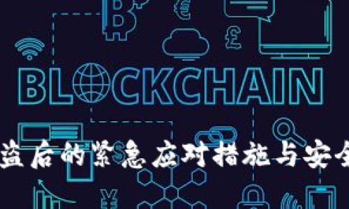 im钱包被盗后的紧急应对措施与安全防护指南