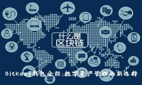 BitKeep钱包介绍：数字资产管理的新选择