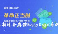 如何选择适合存储BabyDog