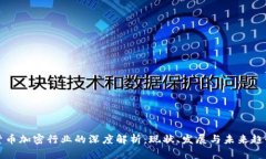 货币加密行业的深度解析