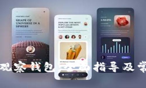 如何创建TP观察钱包：全面指导及常见问题解答