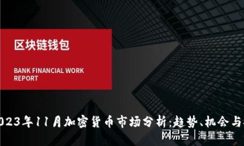 : 2023年11月加密货币市场分析：趋势、机会与挑战