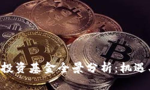 新加坡加密货币投资基金全景分析：机遇、风险与未来趋势