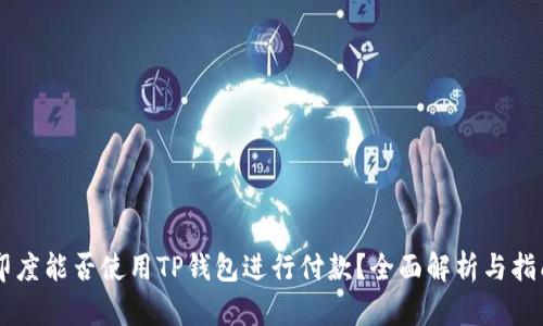 印度能否使用TP钱包进行付款？全面解析与指南
