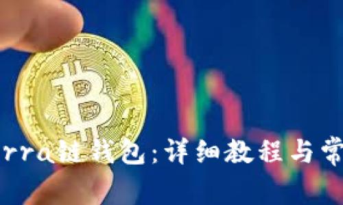 如何创建Terra链钱包：详细教程与常见问题解析