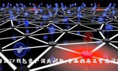如何解决TP钱包资产消失问