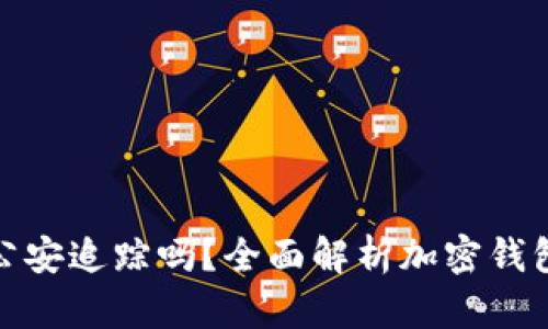 : TP钱包能被公安追踪吗？全面解析加密钱包的隐私与监管