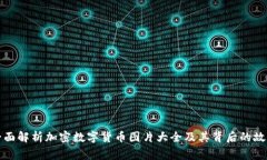 全面解析加密数字货币图