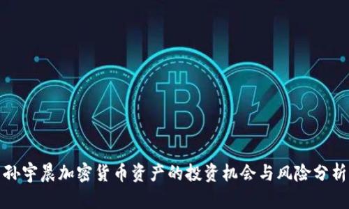 孙宇晨加密货币资产的投资机会与风险分析