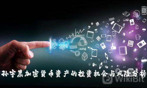 孙宇晨加密货币资产的投资机会与风险分析