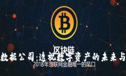 加密货币数据公司：透视数字资产的未来与市场动态