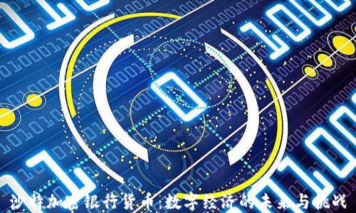 
沙特加密银行货币：数字经济的未来与挑战