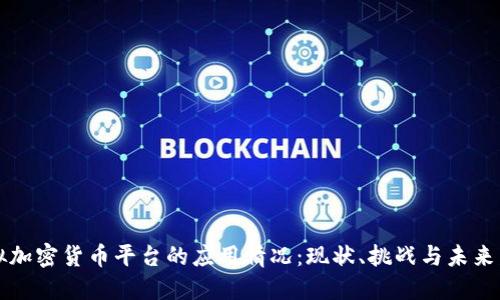虚拟加密货币平台的应用情况：现状、挑战与未来发展