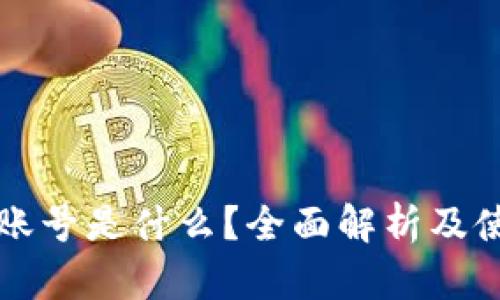 TP钱包账号是什么？全面解析及使用指南