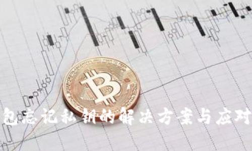 TP钱包忘记私钥的解决方案与应对措施