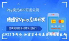 2023年两会：加密货币的未