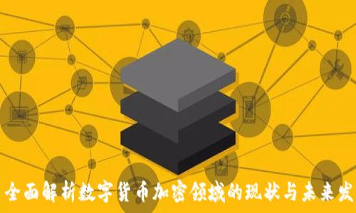   
  全面解析数字货币加密领域的现状与未来发展