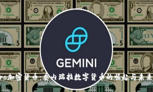 Petro加密货币：委内瑞拉数字货币的崛起与未来展望
