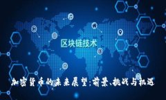 加密货币的未来展望：前