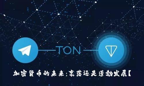 加密货币的未来：衰落还是蓬勃发展？