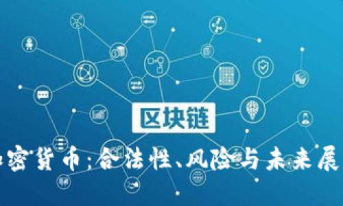 加密货币：合法性、风险与未来展望