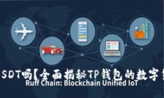 TP钱包支持USDT吗？全面揭