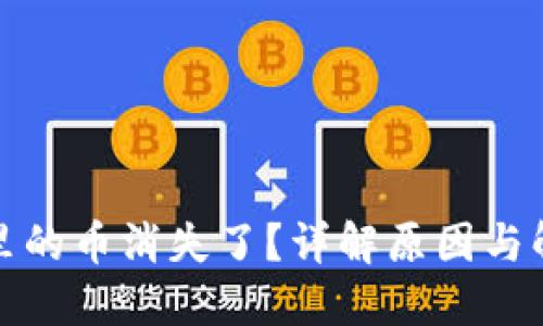 TP钱包里的币消失了？详解原因与解决方案