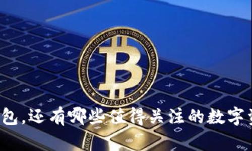 除了TP钱包，还有哪些值得关注的数字资产钱包？