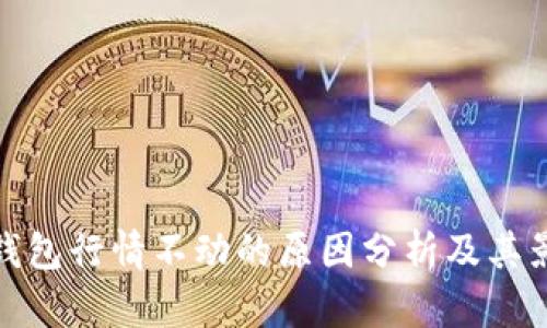 TP钱包行情不动的原因分析及其影响