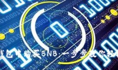 如何在TP钱包中购买BNB：一