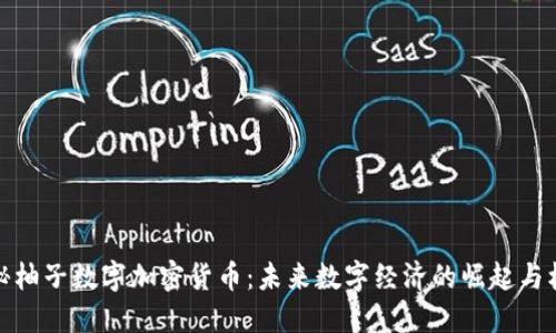 揭秘柚子数字加密货币：未来数字经济的崛起与机遇