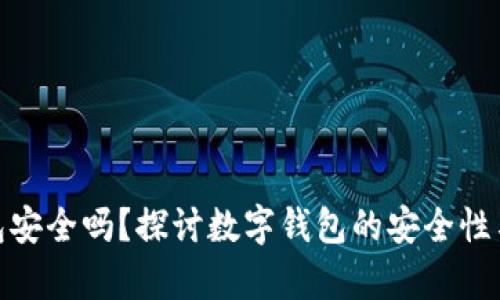 UPay 钱包安全吗？探讨数字钱包的安全性与用户保护