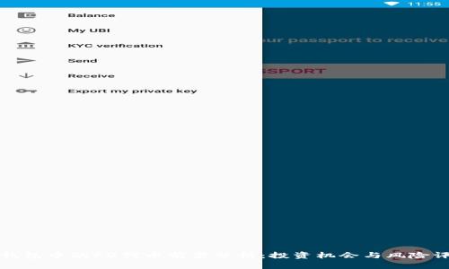TP钱包中的FD代币前景分析：投资机会与风险评估