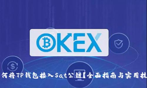 如何将TP钱包接入Sat公链？全面指南与实用技巧