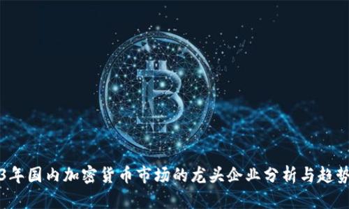 2023年国内加密货币市场的龙头企业分析与趋势展望