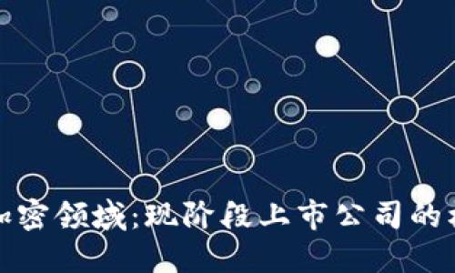 探索货币加密领域：现阶段上市公司的机会与挑战