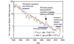 无牌离岸加密货币：揭秘