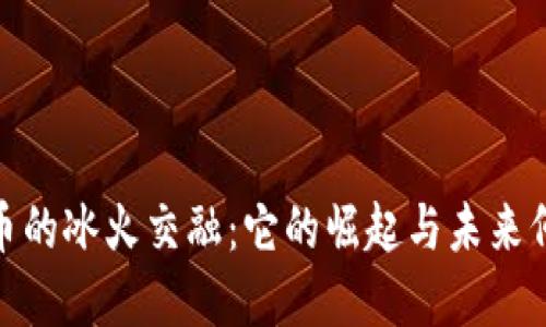 加密货币的冰火交融：它的崛起与未来何去何从