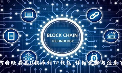 如何将欧易买U提币到TP钱包：详细步骤与注意事项