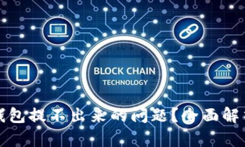 如何解决TP钱包提不出来的问题？全面解析与解决方案