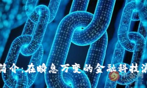 加密货币公司简介：在瞬息万变的金融科技浪潮中引领创新