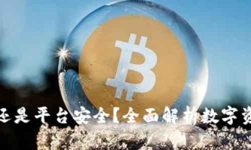 放TP钱包安全还是平台安全？全面解析数字资产安全的选择