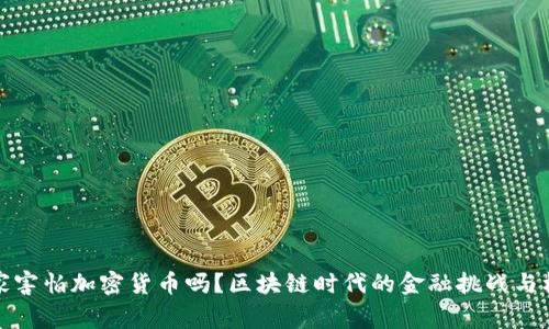 国家害怕加密货币吗？区块链时代的金融挑战与机遇