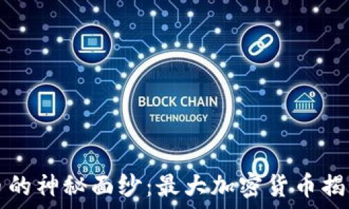   
揭开加密货币的神秘面纱：最大加密货币揭秘与投资指南